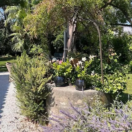 Villa Eden - Golfe De Saint Tropez